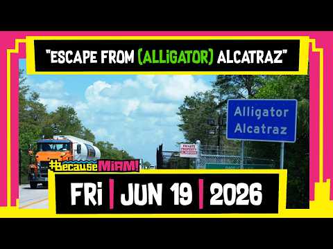 #becausemiami : Escape From (Alligator) Alcatraz
